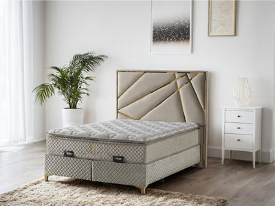 Helix Divan Bed & Mattress Set Double Champagne Velvet & Gold